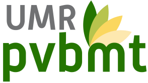 Logo PVBMT